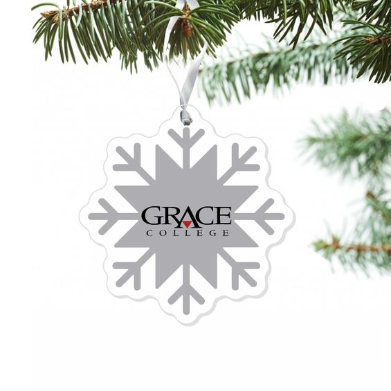 Snowflake Christmas Ornament, Grey/White